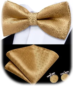 Dubulle Mens Paisley Striped Bowtie Set Pre-tied Bowtie for Men and Pocket Square Set Wedding Business